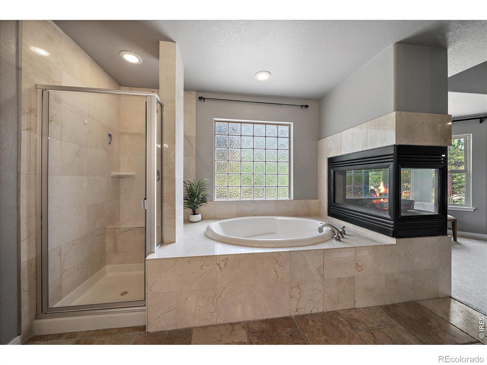 MLS Image #22 for 492  tolland drive,castle rock, Colorado