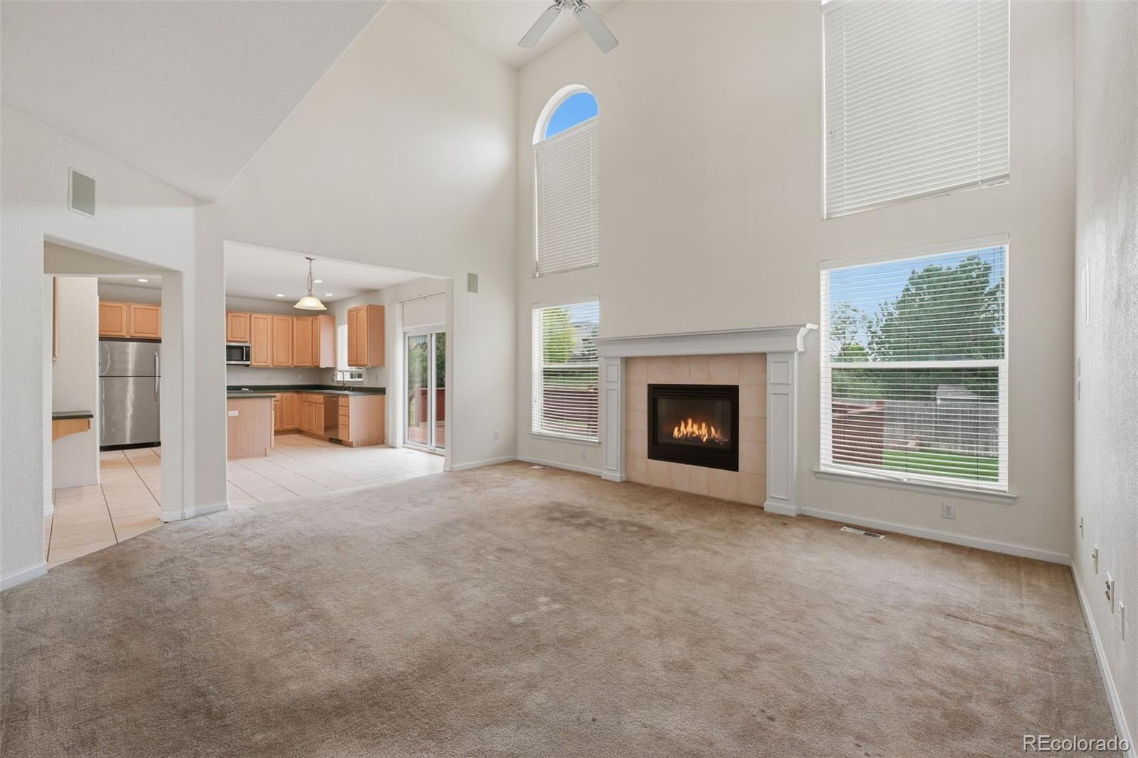MLS Image #20 for 21340  martingale lane,parker, Colorado