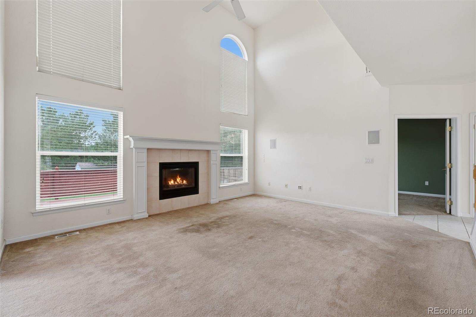 MLS Image #23 for 21340  martingale lane,parker, Colorado