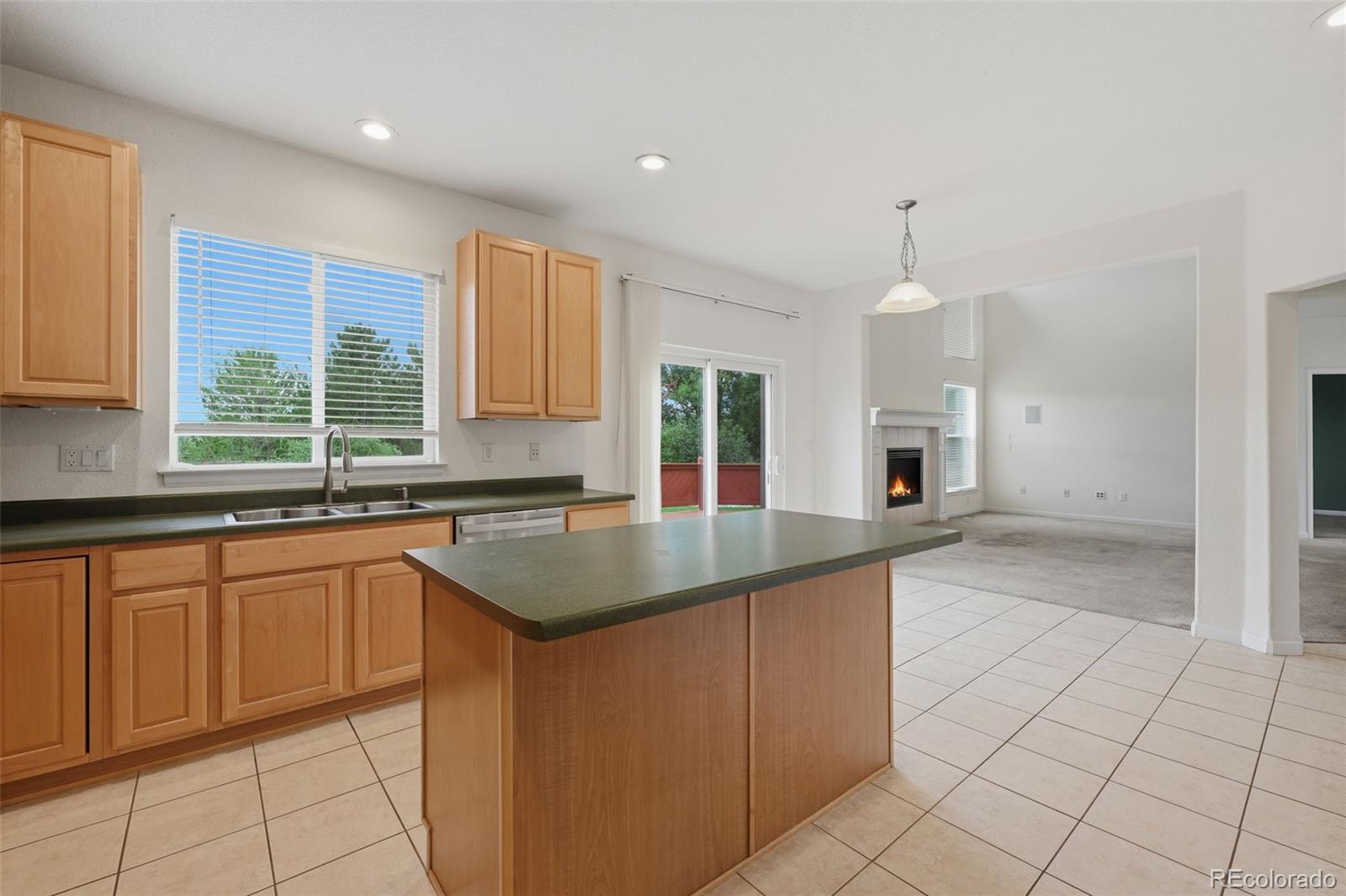 MLS Image #28 for 21340  martingale lane,parker, Colorado