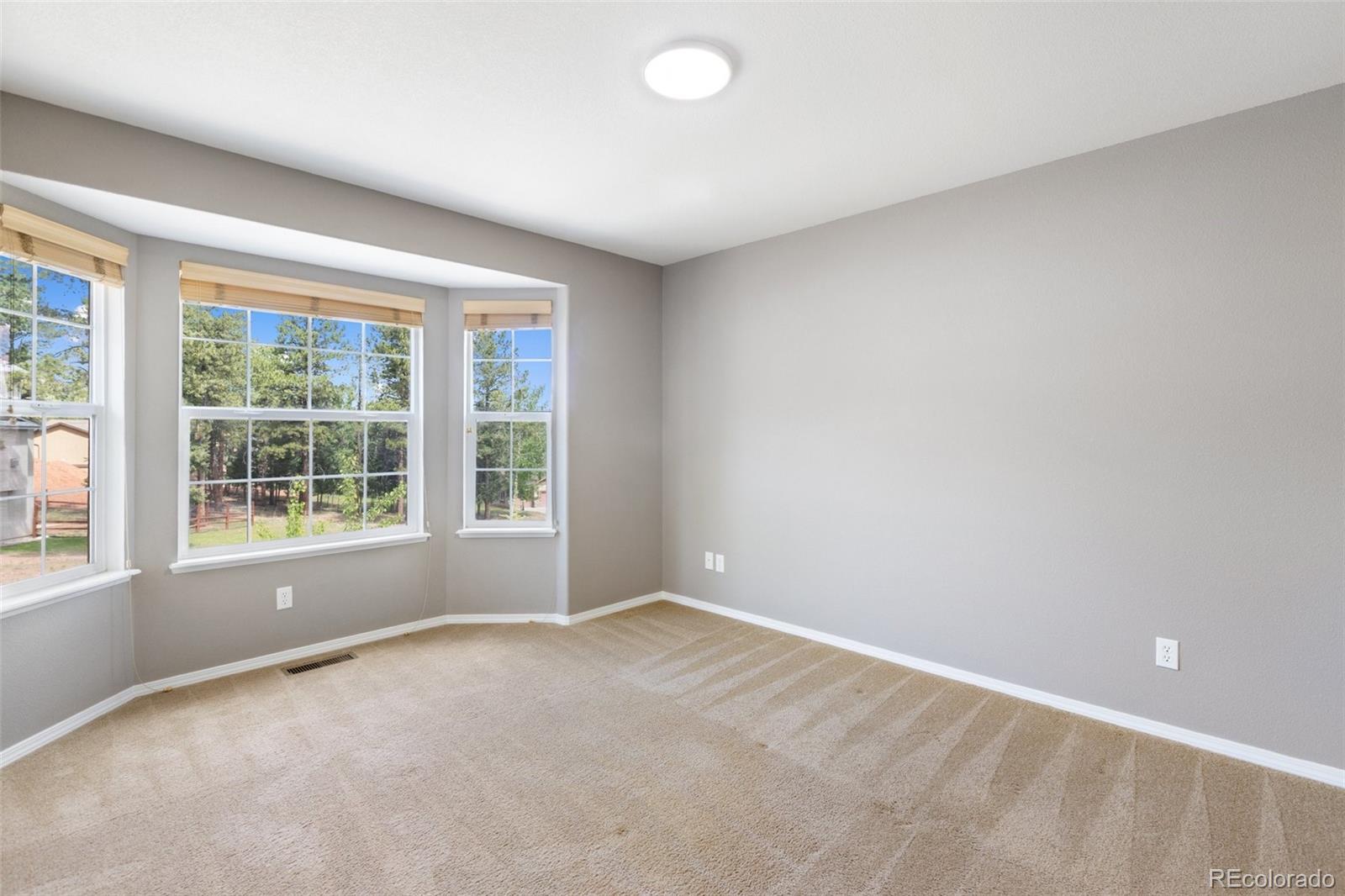 MLS Image #26 for 671  misty pines circle,woodland park, Colorado
