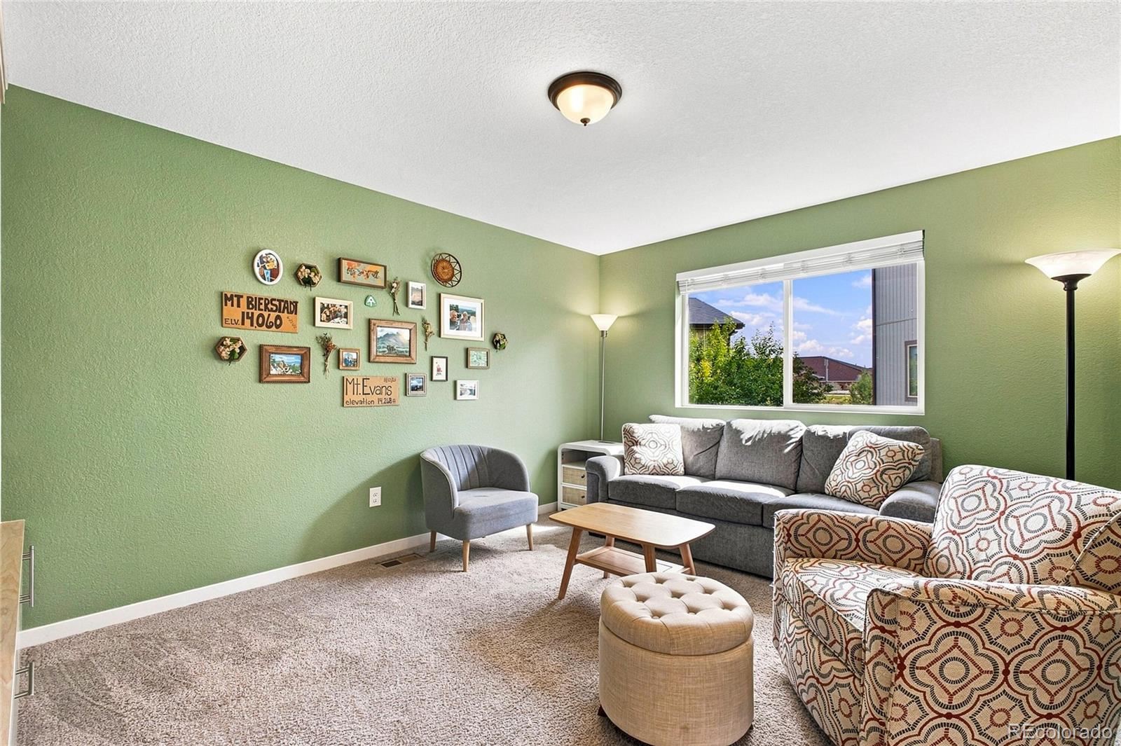 MLS Image #14 for 20016 e 48th place,denver, Colorado