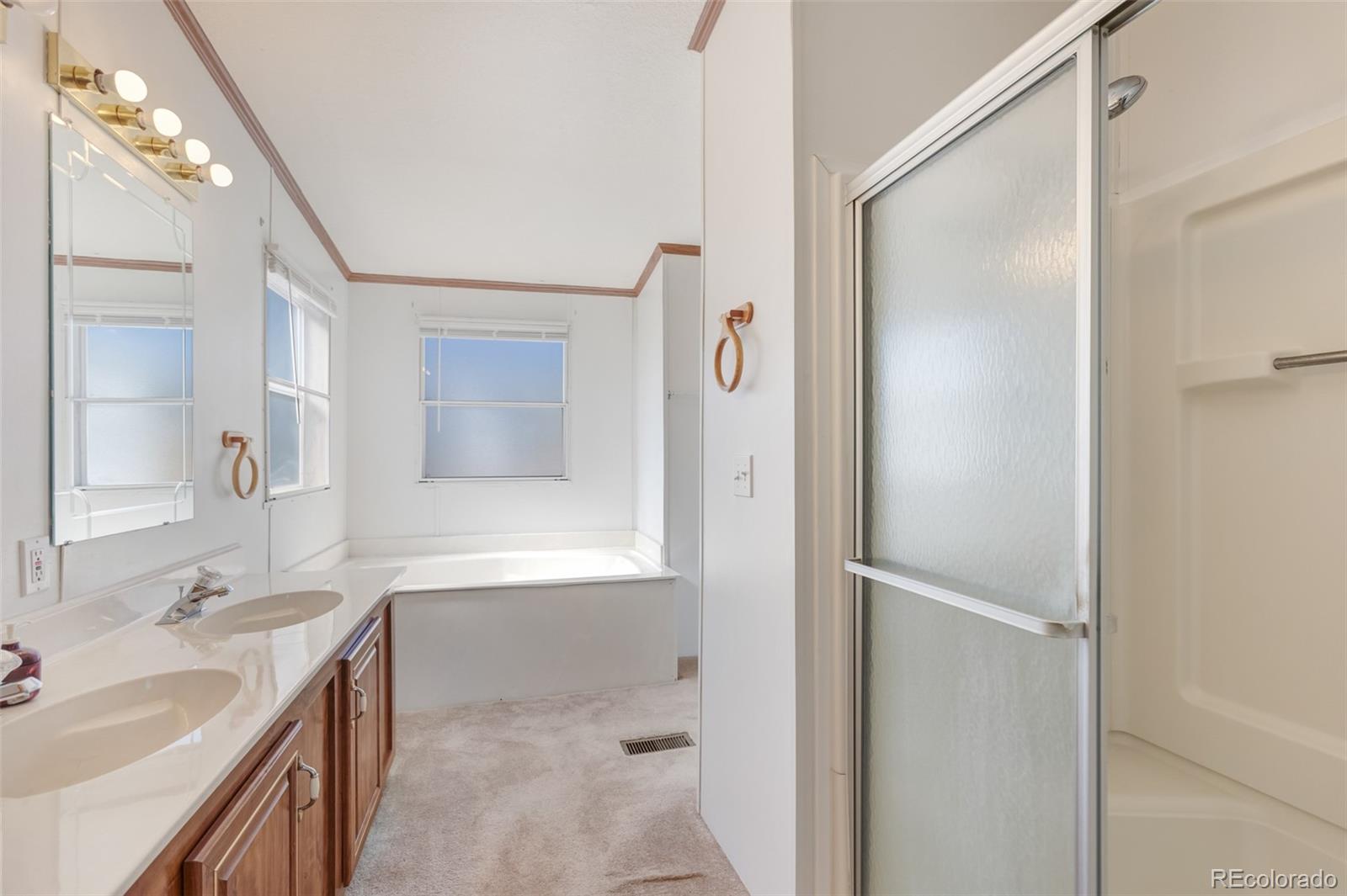MLS Image #16 for 104  highland drive,howard, Colorado