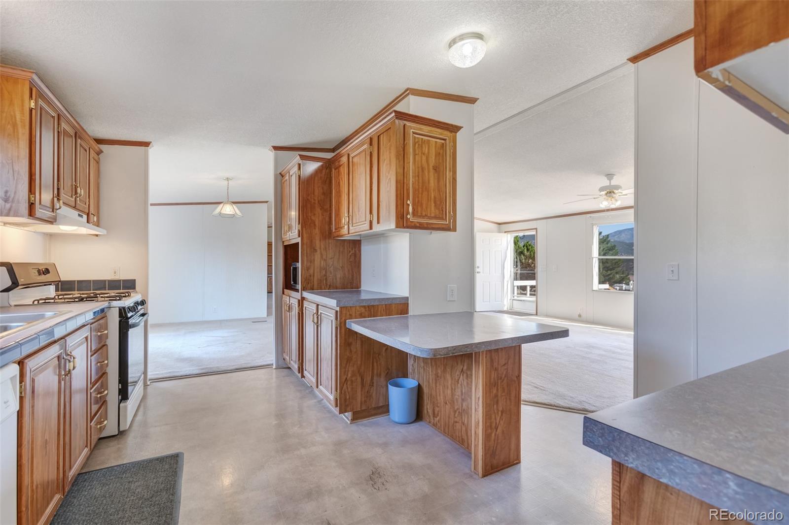 MLS Image #33 for 104  highland drive,howard, Colorado