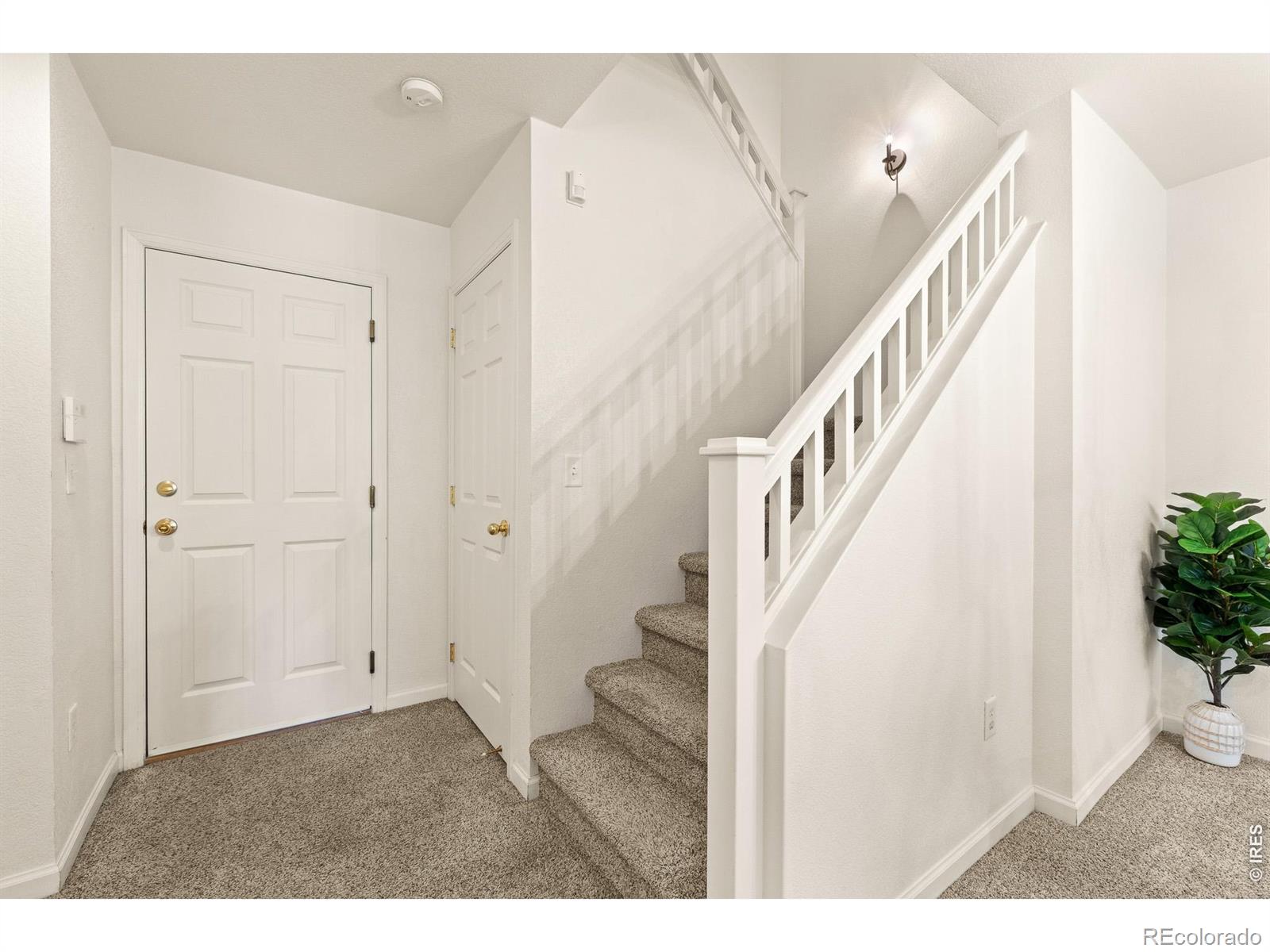 MLS Image #12 for 4065  temple gulch circle,loveland, Colorado