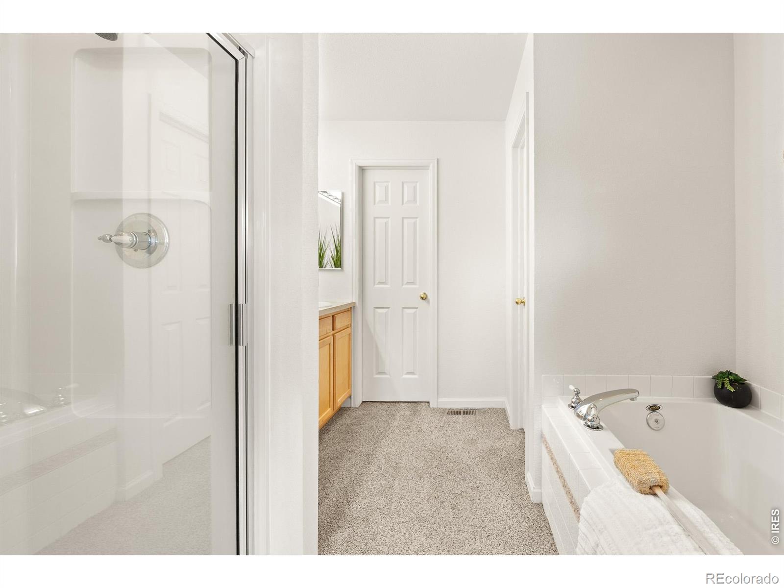 MLS Image #17 for 4065  temple gulch circle,loveland, Colorado
