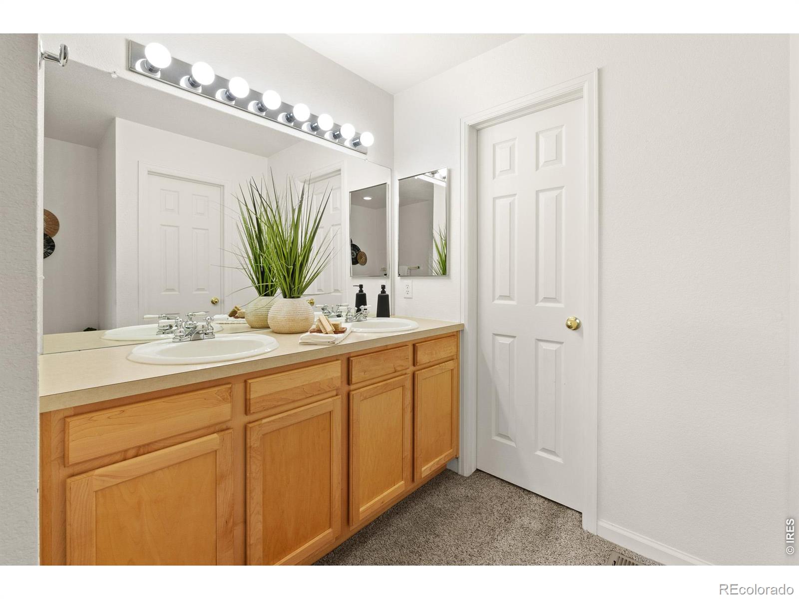 MLS Image #18 for 4065  temple gulch circle,loveland, Colorado