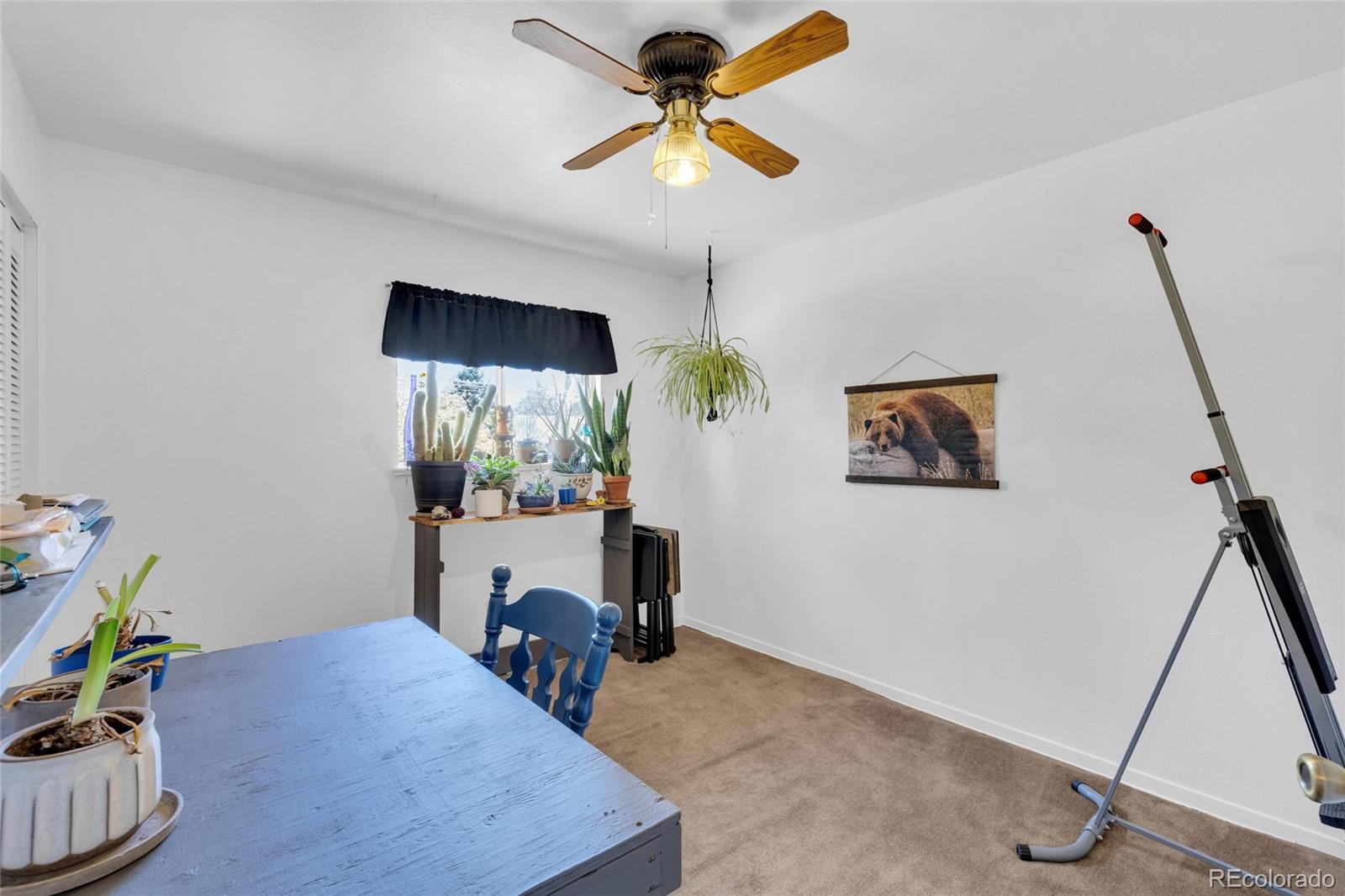 MLS Image #15 for 6326  fenton street,arvada, Colorado