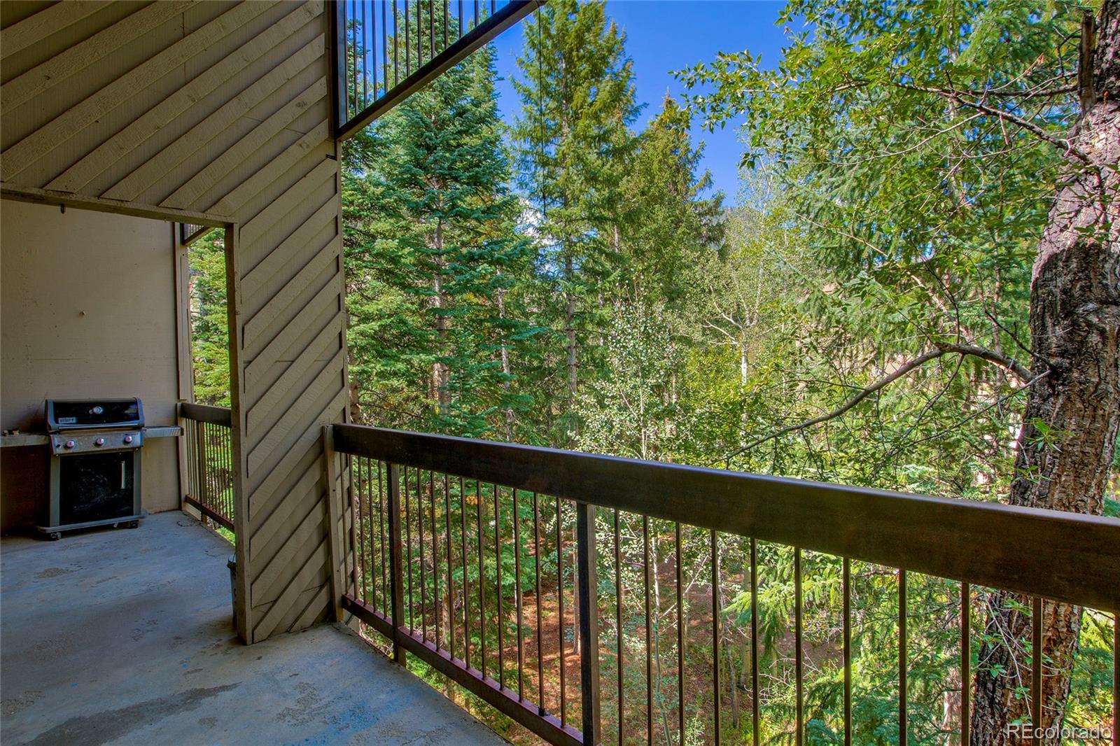 MLS Image #33 for 222  creekside drive,frisco, Colorado