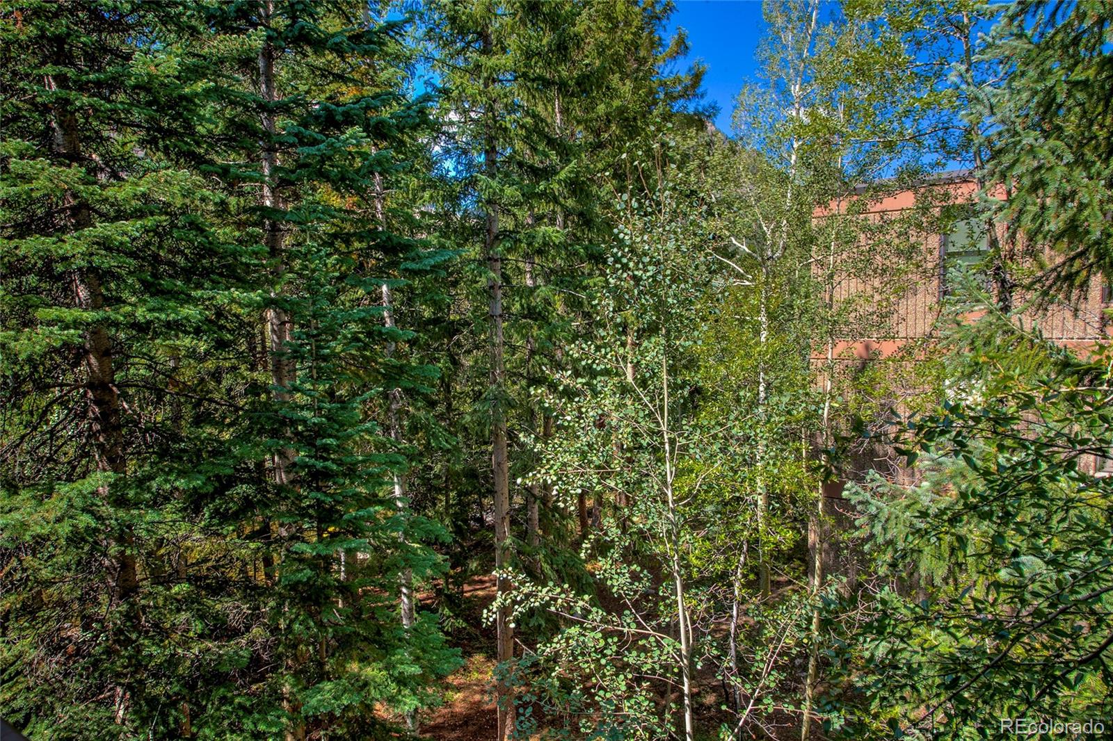 MLS Image #34 for 222  creekside drive,frisco, Colorado