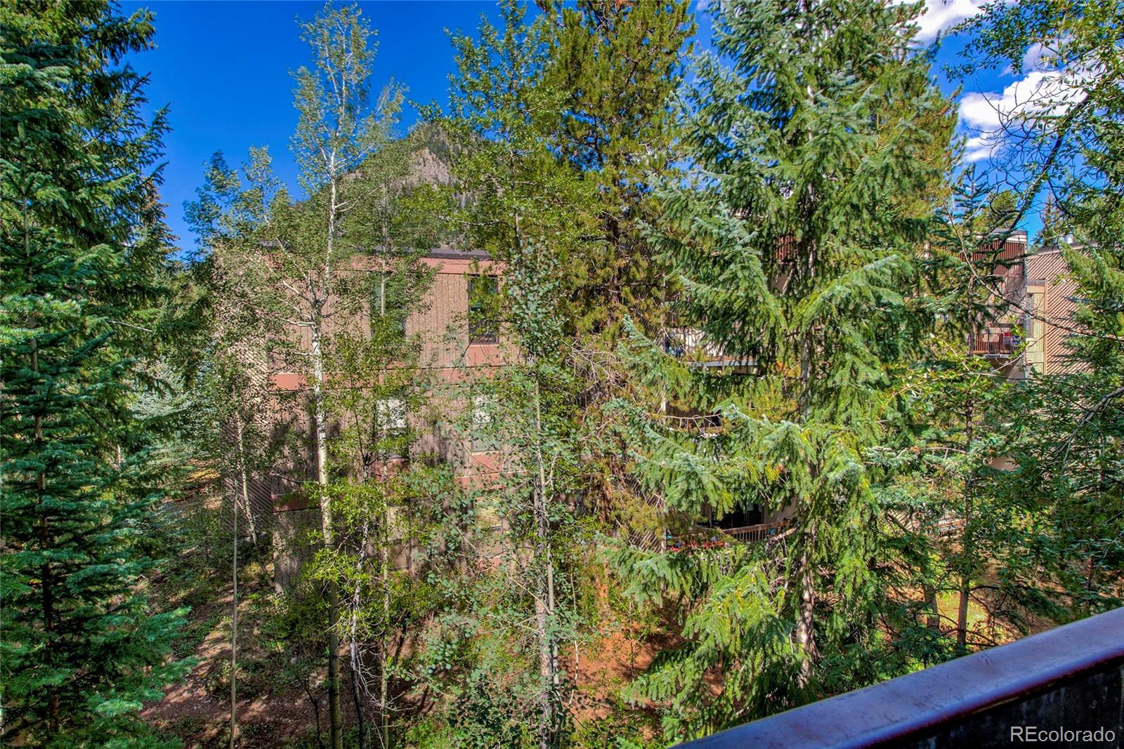 MLS Image #35 for 222  creekside drive,frisco, Colorado