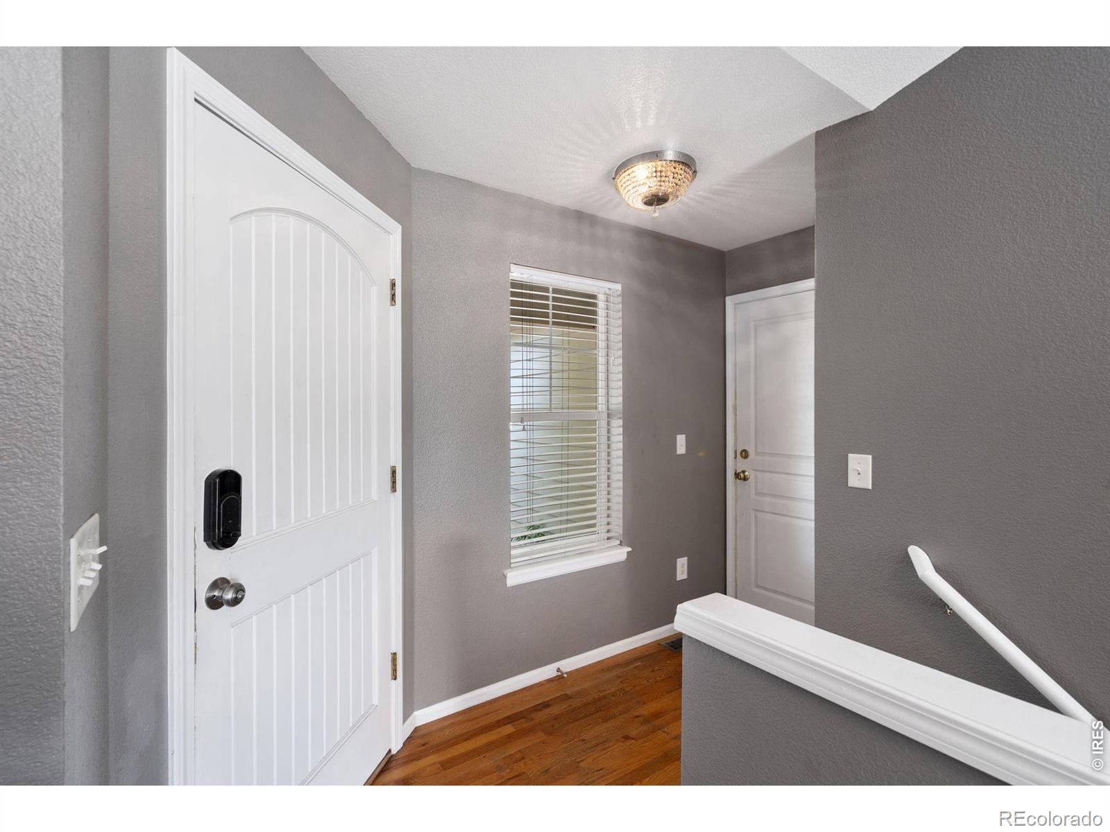 MLS Image #3 for 586  magpie drive,loveland, Colorado