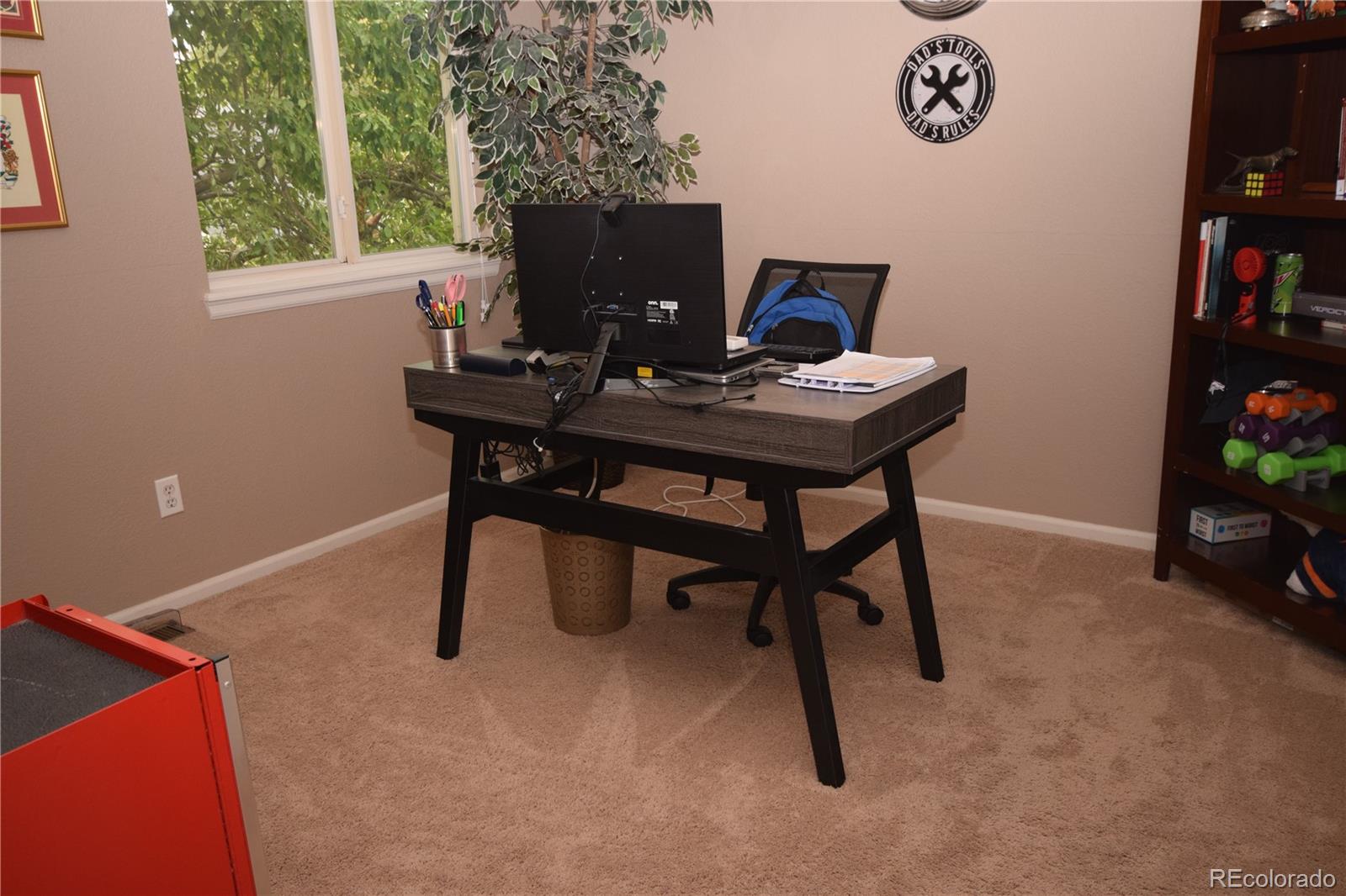 MLS Image #11 for 10345  spring water peak ,highlands ranch, Colorado