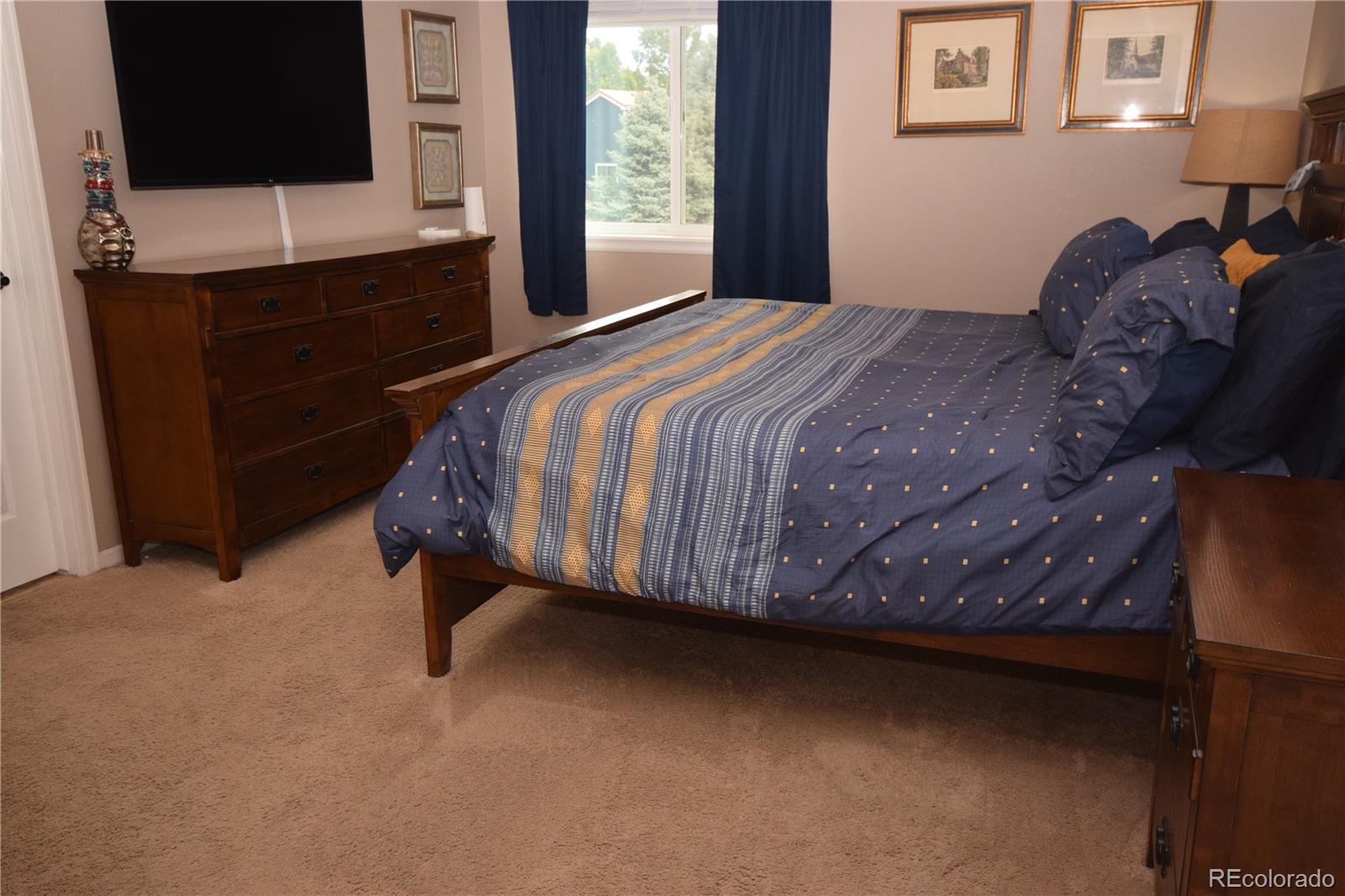 MLS Image #12 for 10345  spring water peak ,highlands ranch, Colorado