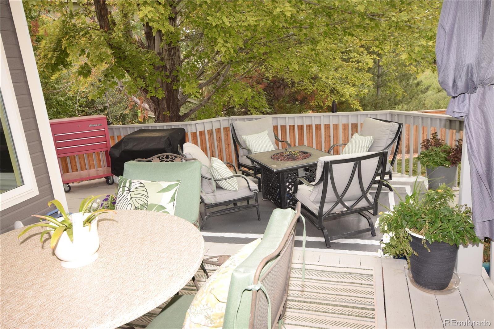 MLS Image #16 for 10345  spring water peak ,highlands ranch, Colorado