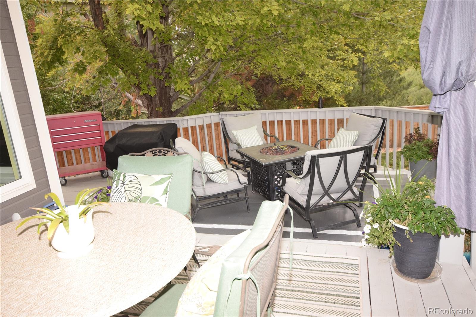MLS Image #17 for 10345  spring water peak ,highlands ranch, Colorado