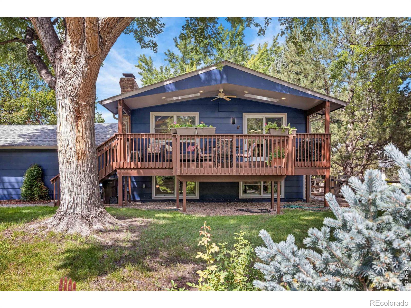 MLS Image #31 for 7368  dry creek road,niwot, Colorado