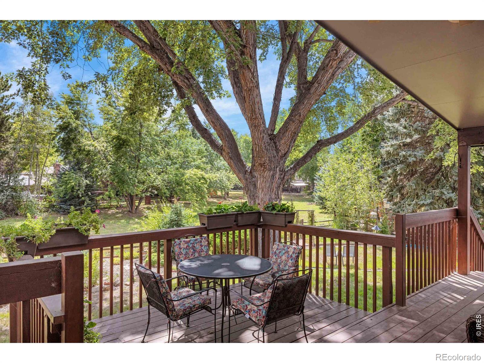 MLS Image #38 for 7368  dry creek road,niwot, Colorado