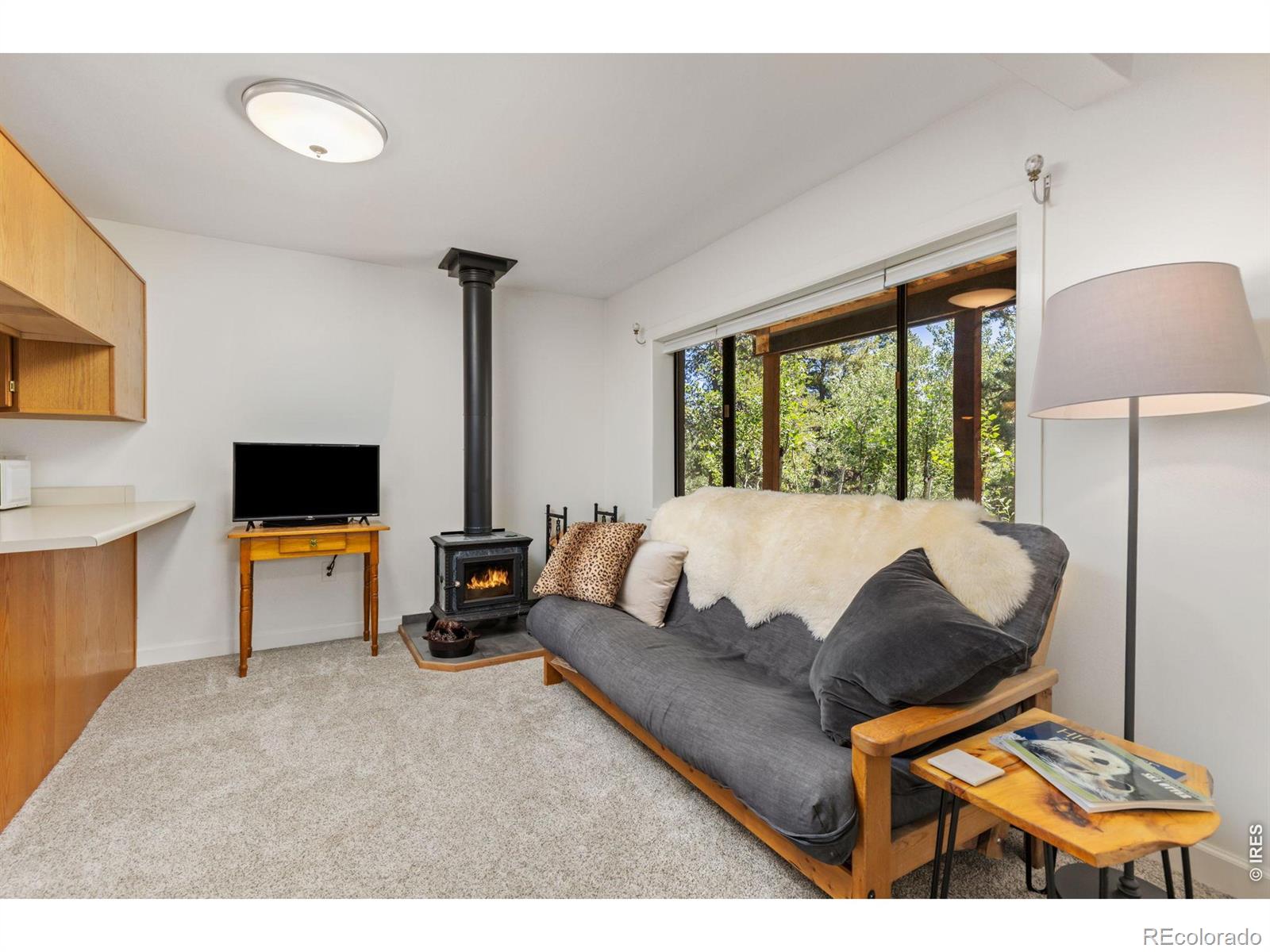 MLS Image #28 for 415  upper travis gulch road,black hawk, Colorado