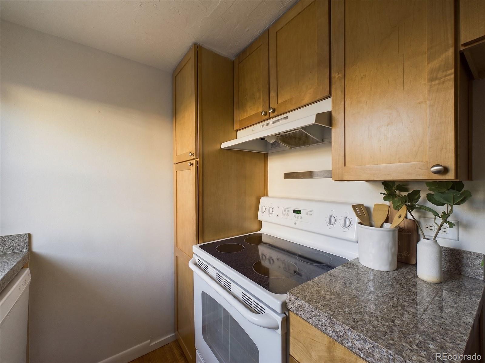MLS Image #11 for 830 e 11th avenue,denver, Colorado