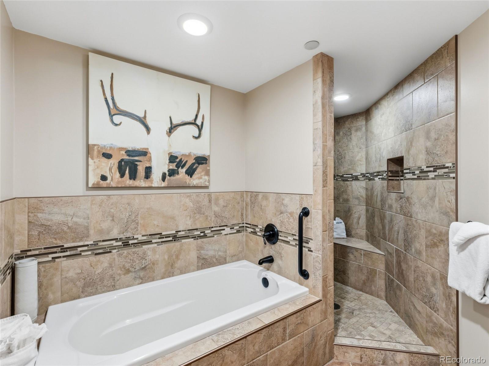 MLS Image #11 for 640  village road,breckenridge, Colorado