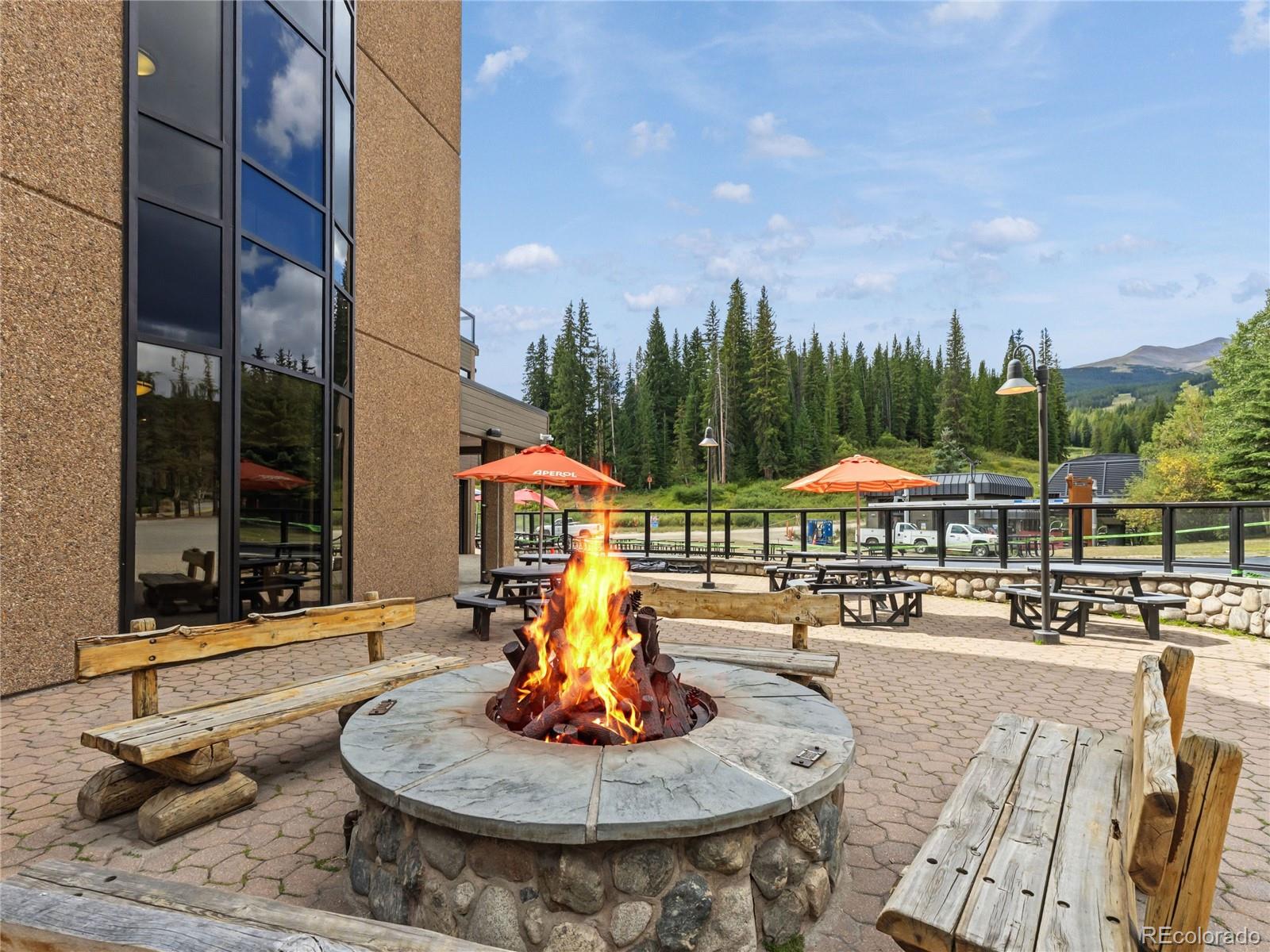 MLS Image #20 for 640  village road,breckenridge, Colorado