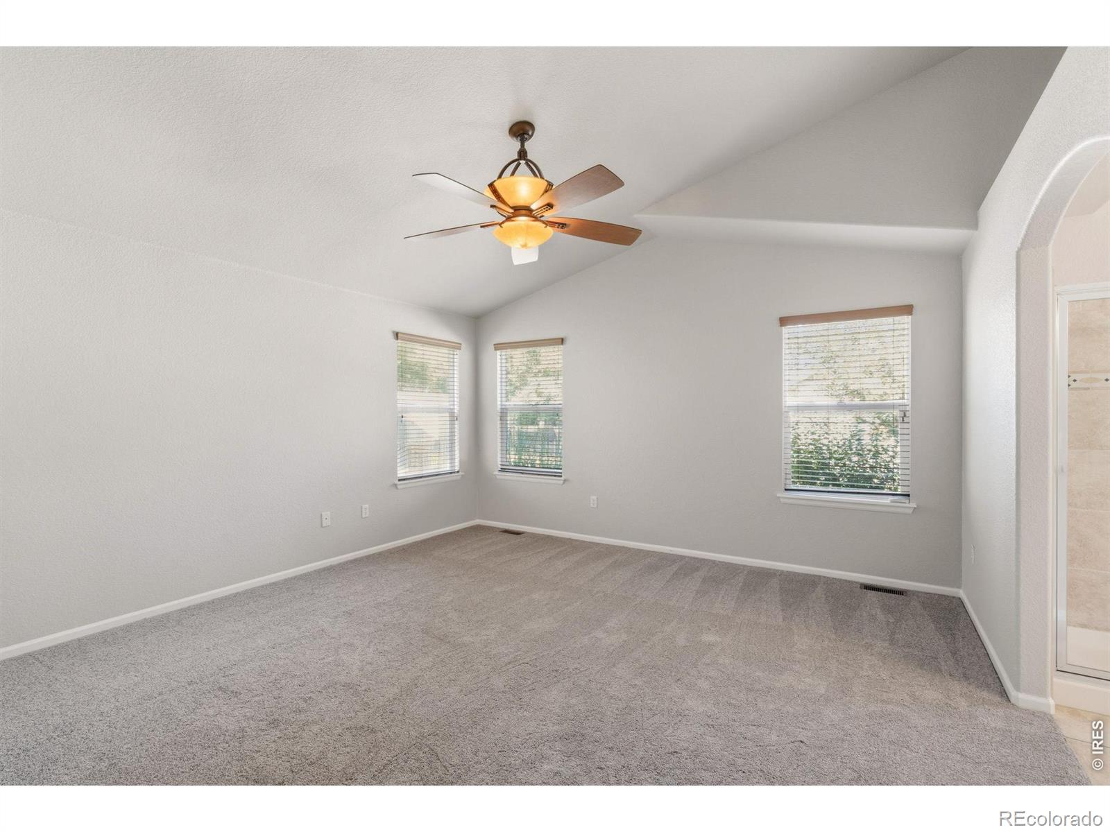 MLS Image #17 for 183  montezuma street,brighton, Colorado