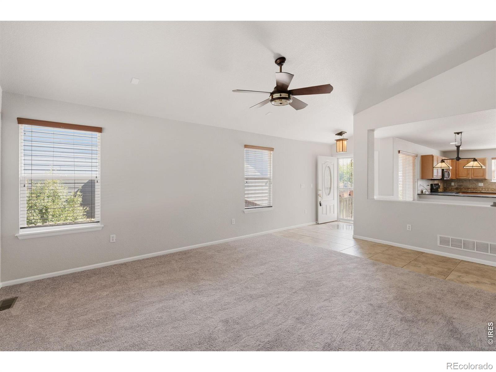 MLS Image #8 for 183  montezuma street,brighton, Colorado