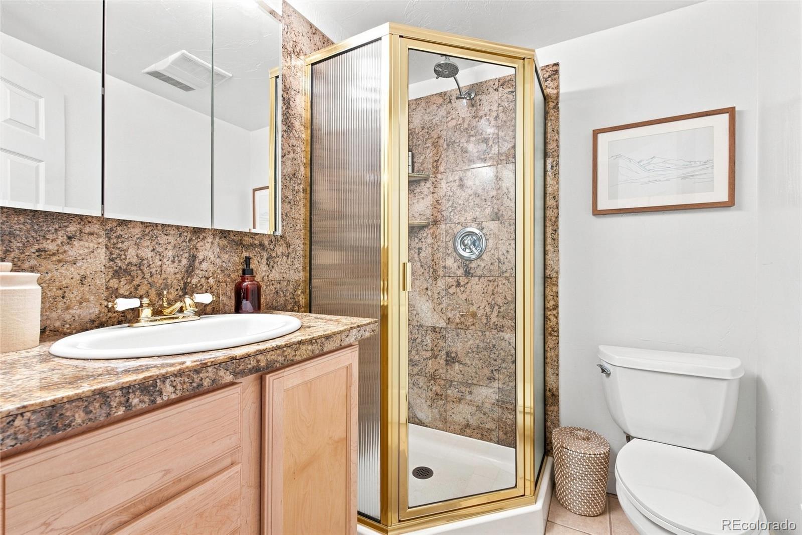 MLS Image #32 for 4804 s pine road,evergreen, Colorado
