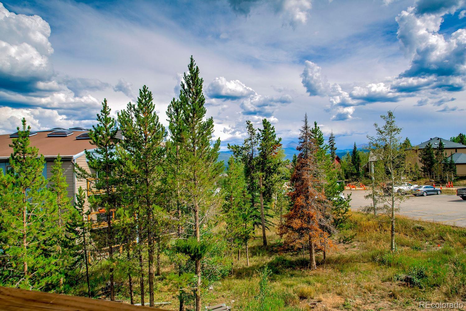 MLS Image #24 for 4400  lodge pole circle,silverthorne, Colorado