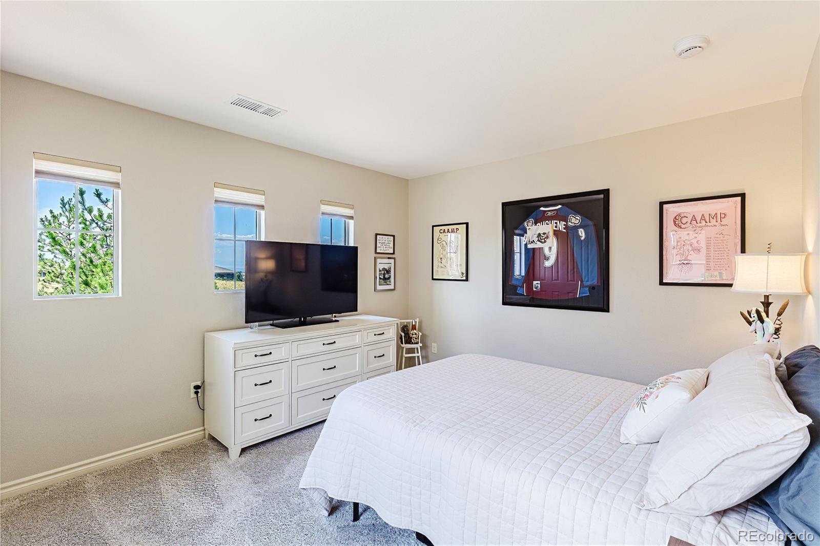 MLS Image #27 for 9216  viaggio way ,highlands ranch, Colorado