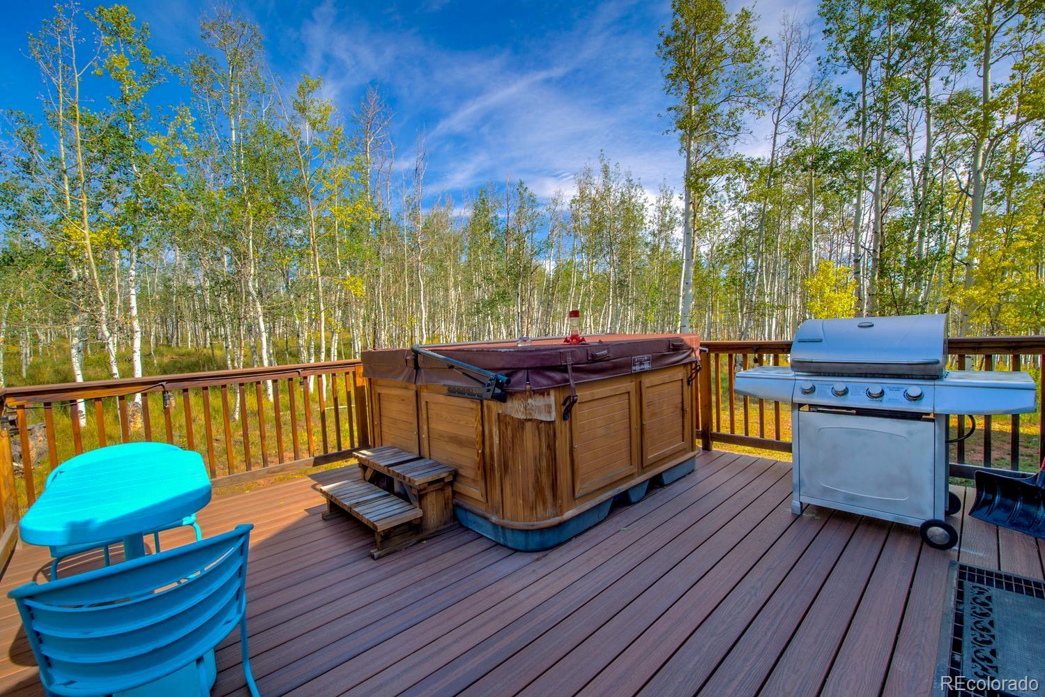 MLS Image #30 for 331  canthook lane,fairplay, Colorado