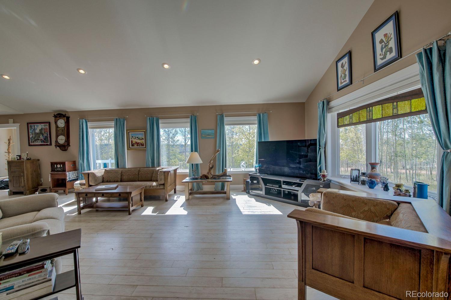 MLS Image #7 for 331  canthook lane,fairplay, Colorado