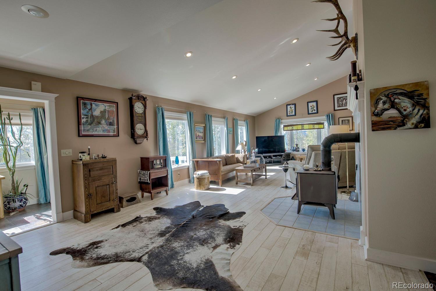 MLS Image #8 for 331  canthook lane,fairplay, Colorado