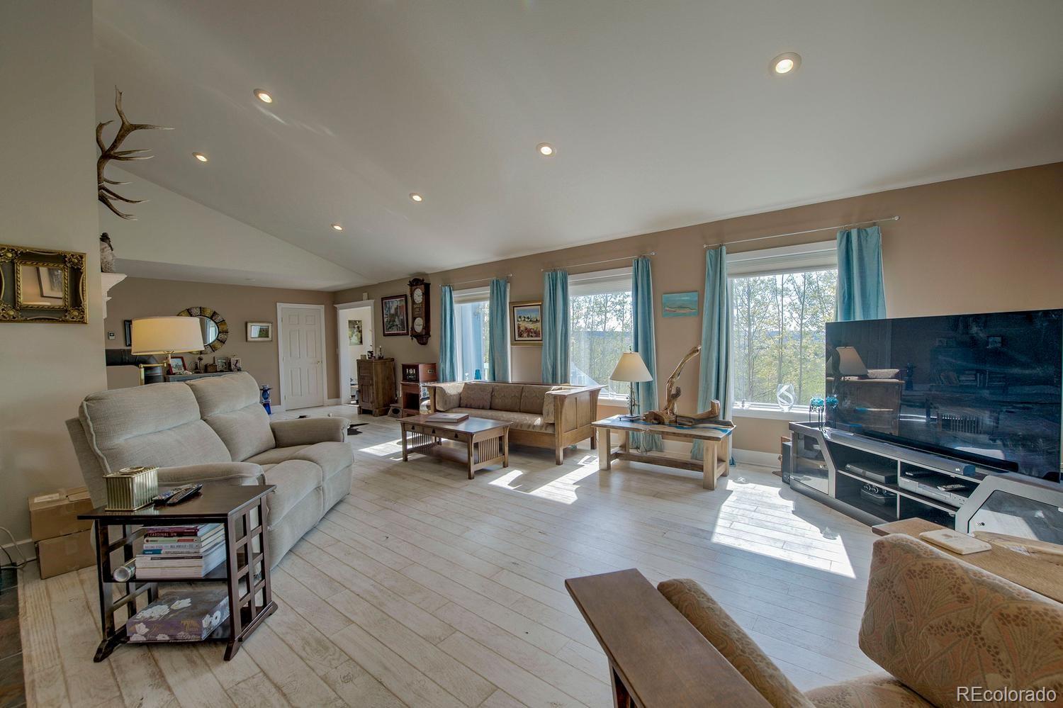MLS Image #9 for 331  canthook lane,fairplay, Colorado