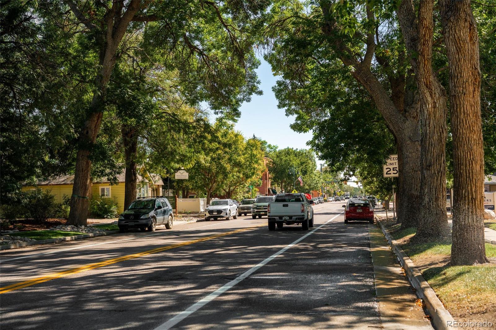 MLS Image #49 for 353  mount rainier street,berthoud, Colorado