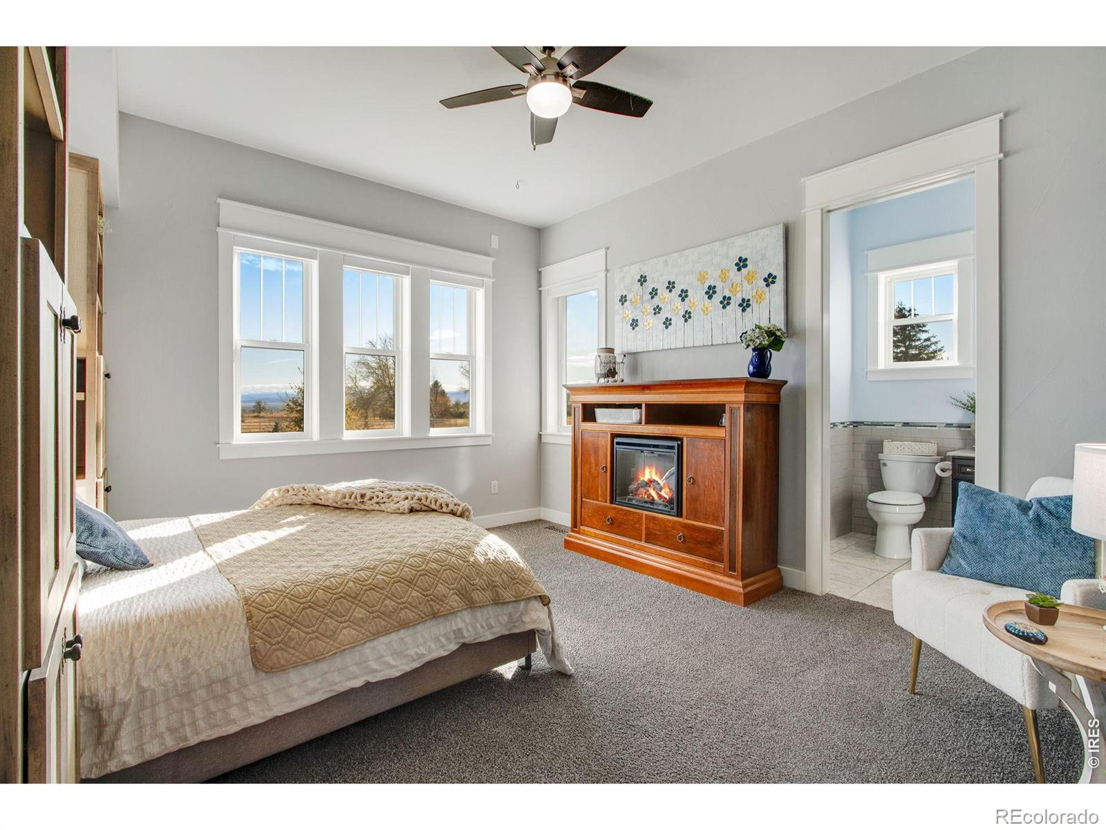 MLS Image #30 for 2418  barry lane,fort collins, Colorado
