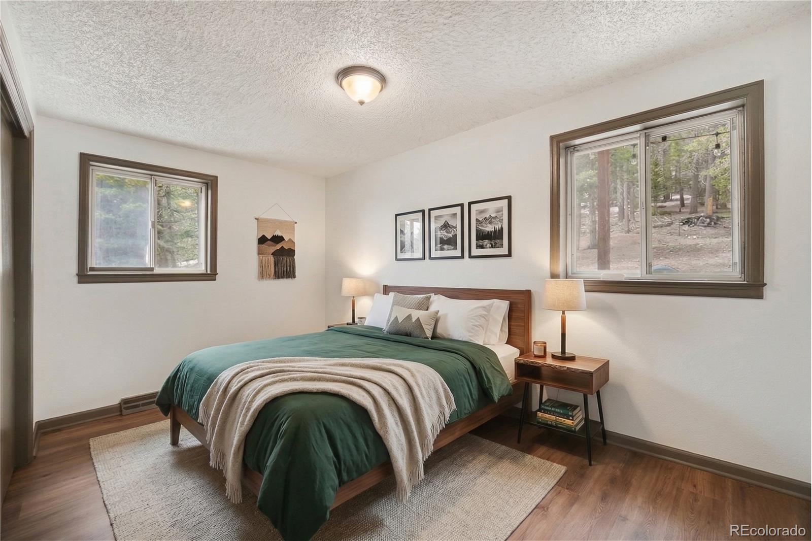 MLS Image #8 for 201  silver creek road,idaho springs, Colorado