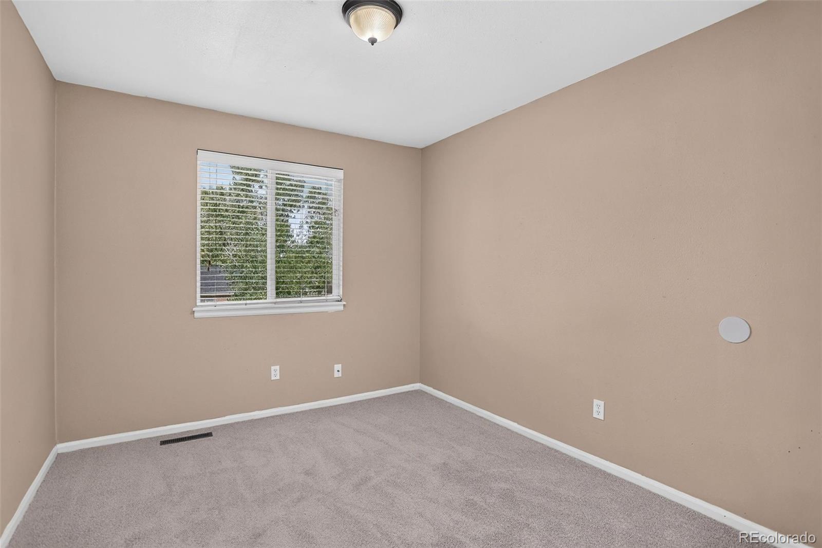 MLS Image #21 for 4763  chandler court,denver, Colorado