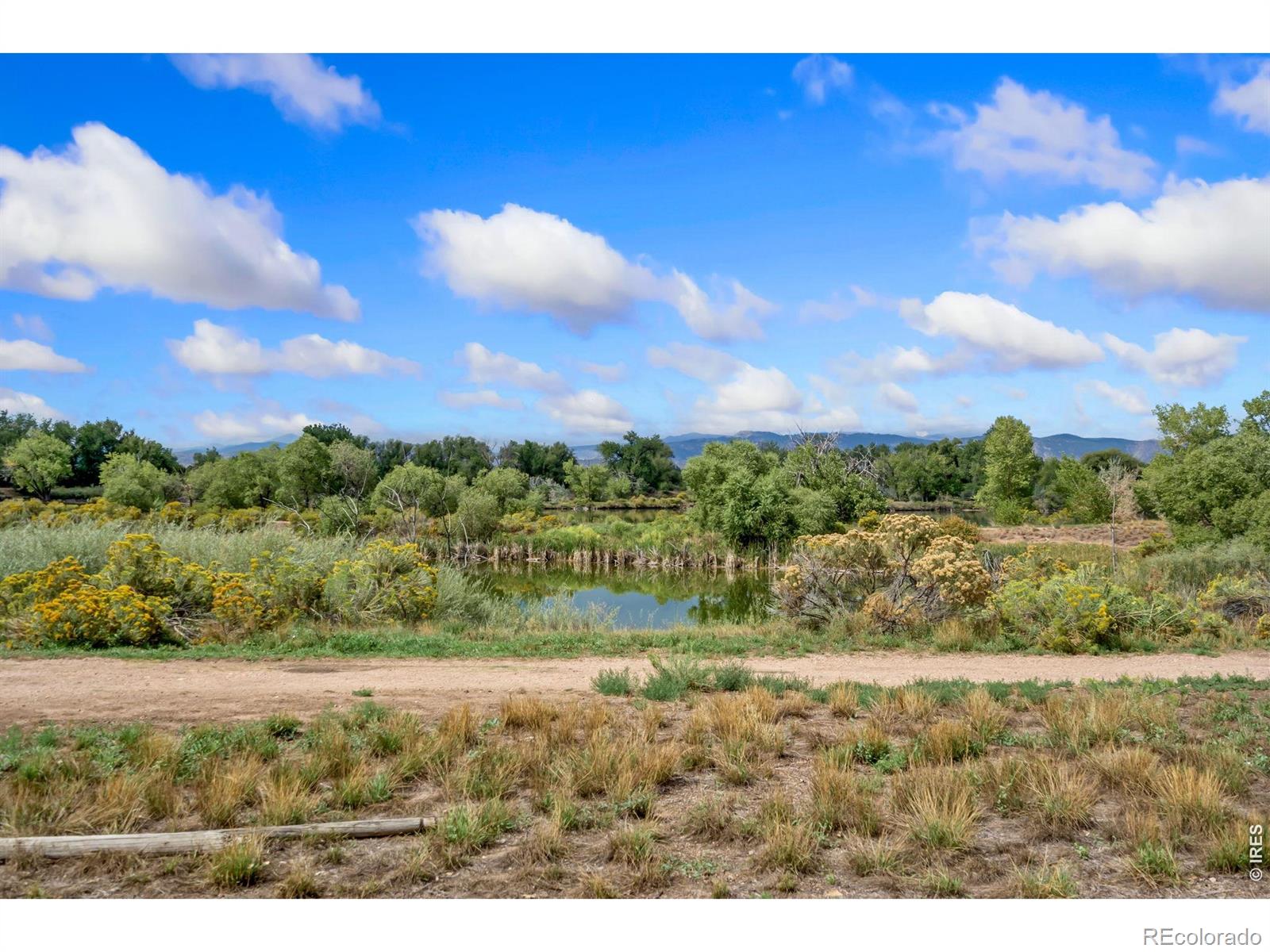 MLS Image #18 for 2604  cherly street,fort collins, Colorado