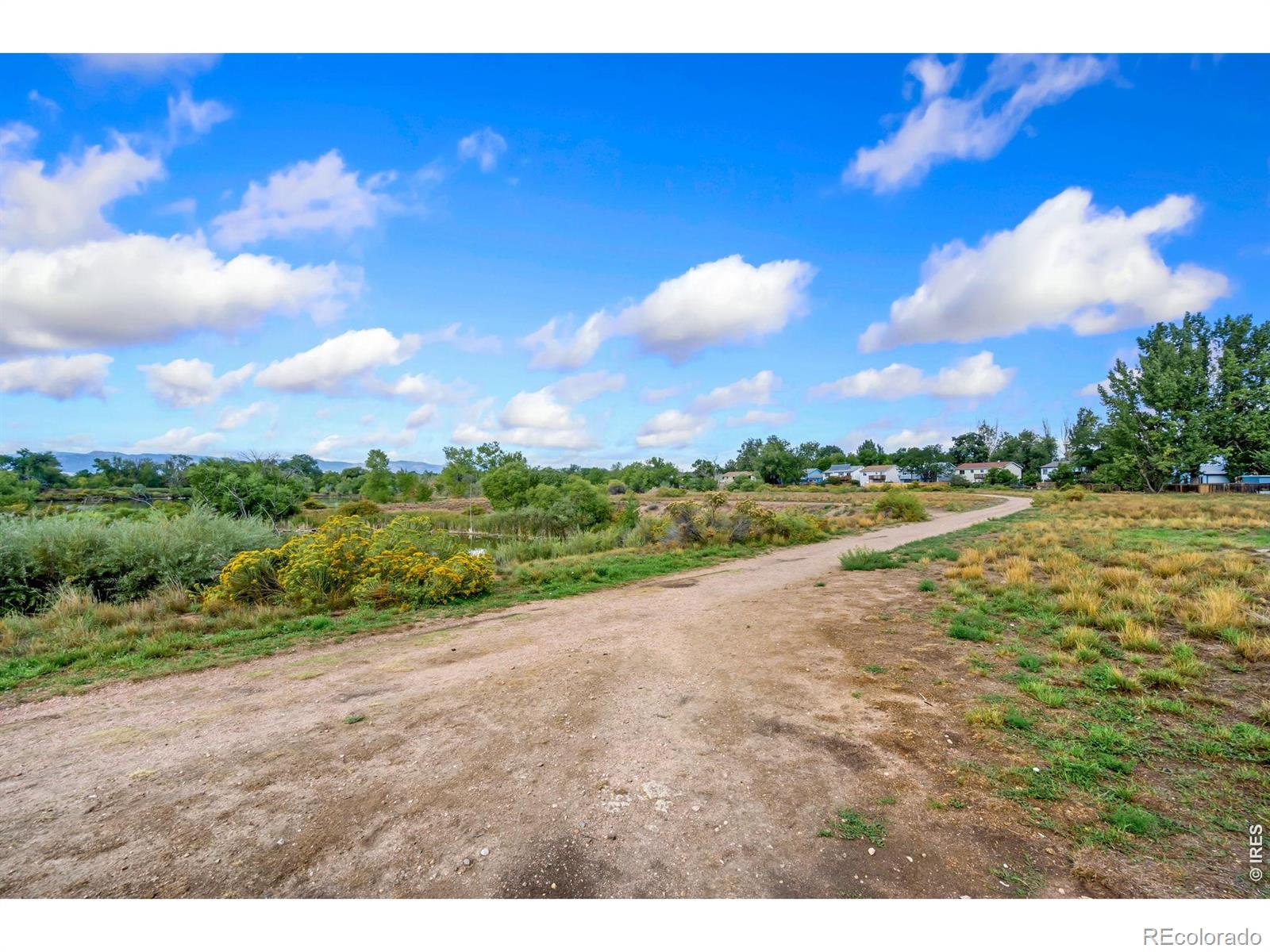 MLS Image #19 for 2604  cherly street,fort collins, Colorado