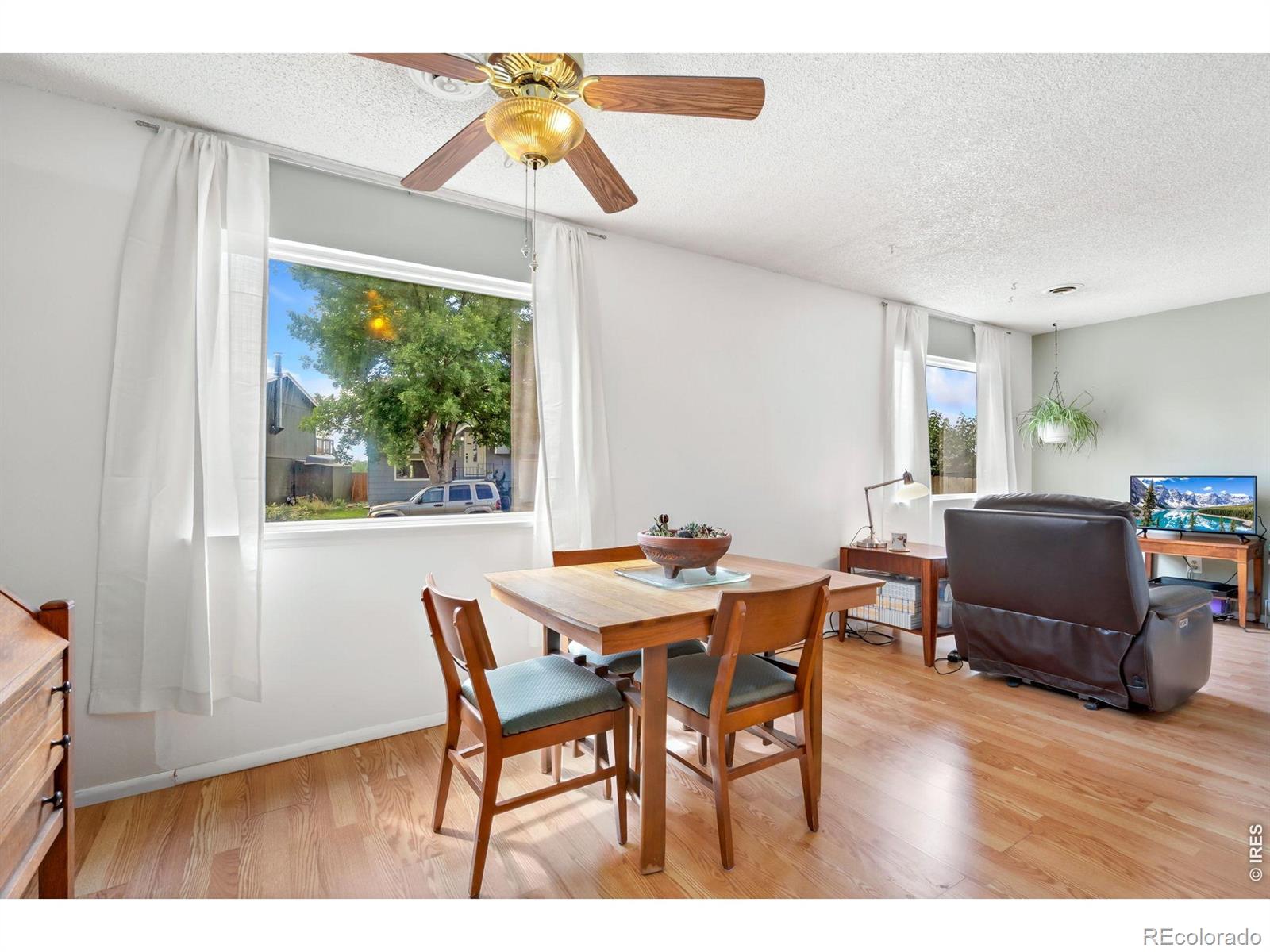 MLS Image #6 for 2604  cherly street,fort collins, Colorado