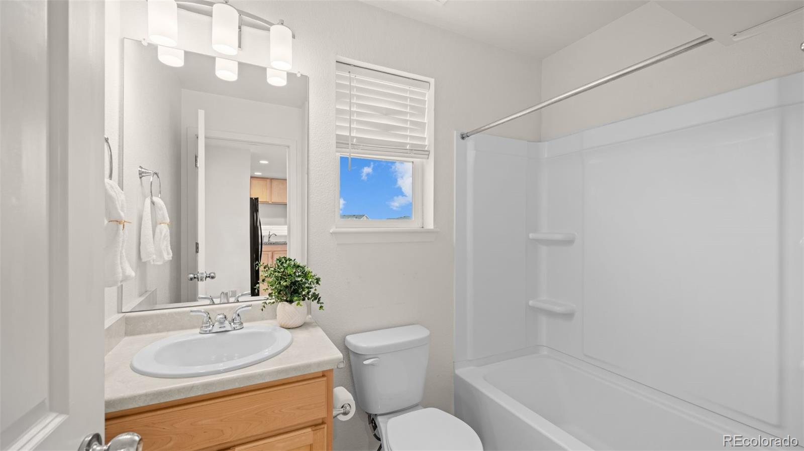 MLS Image #11 for 5619  tramore court,colorado springs, Colorado