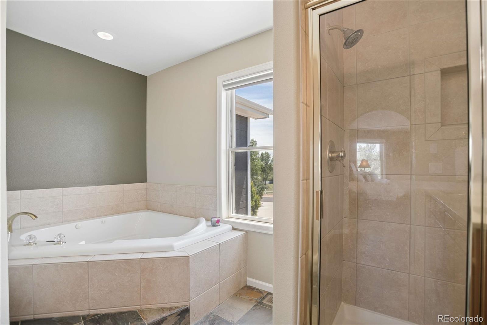 MLS Image #13 for 3795  whitetail court,mead, Colorado