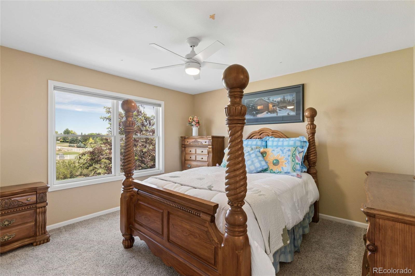 MLS Image #14 for 3795  whitetail court,mead, Colorado