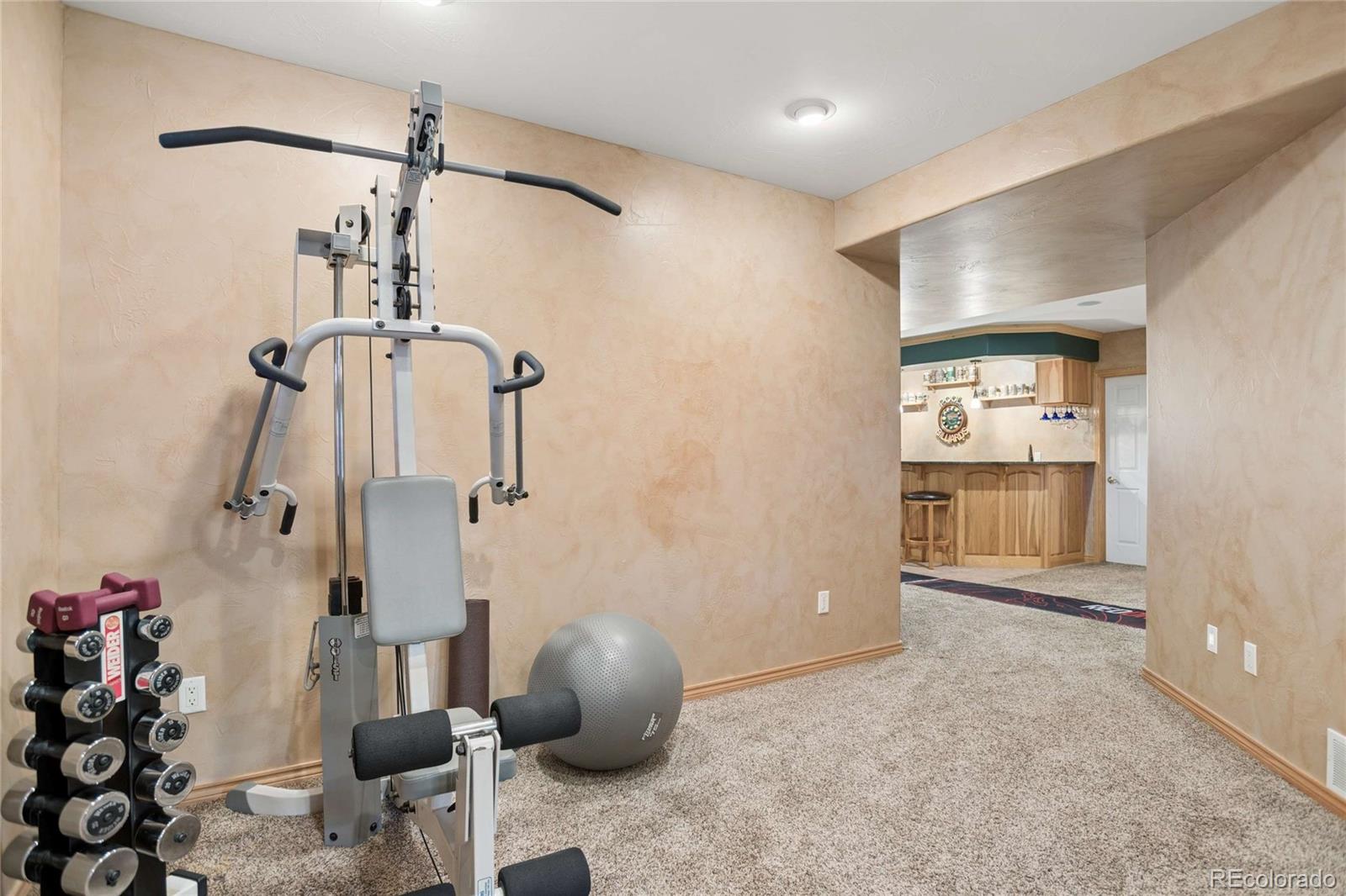MLS Image #24 for 3795  whitetail court,mead, Colorado