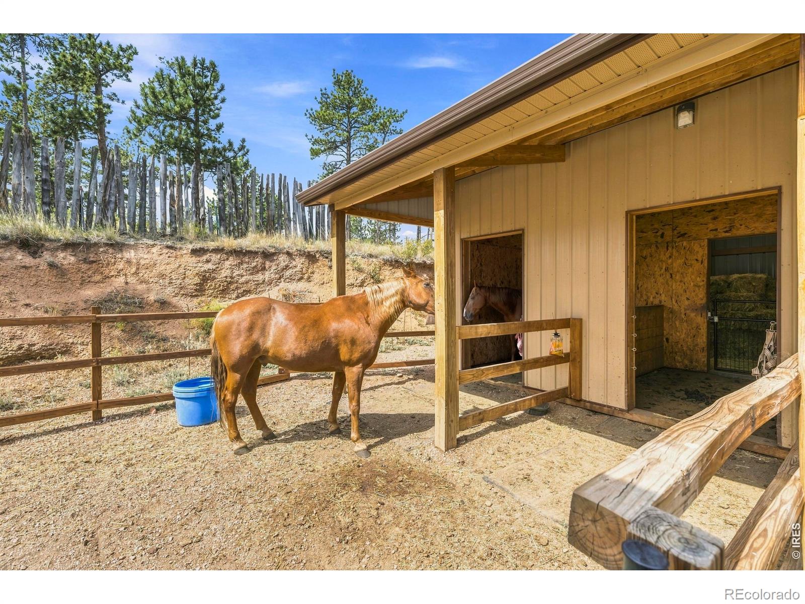 MLS Image #39 for 557  red bluff road,livermore, Colorado