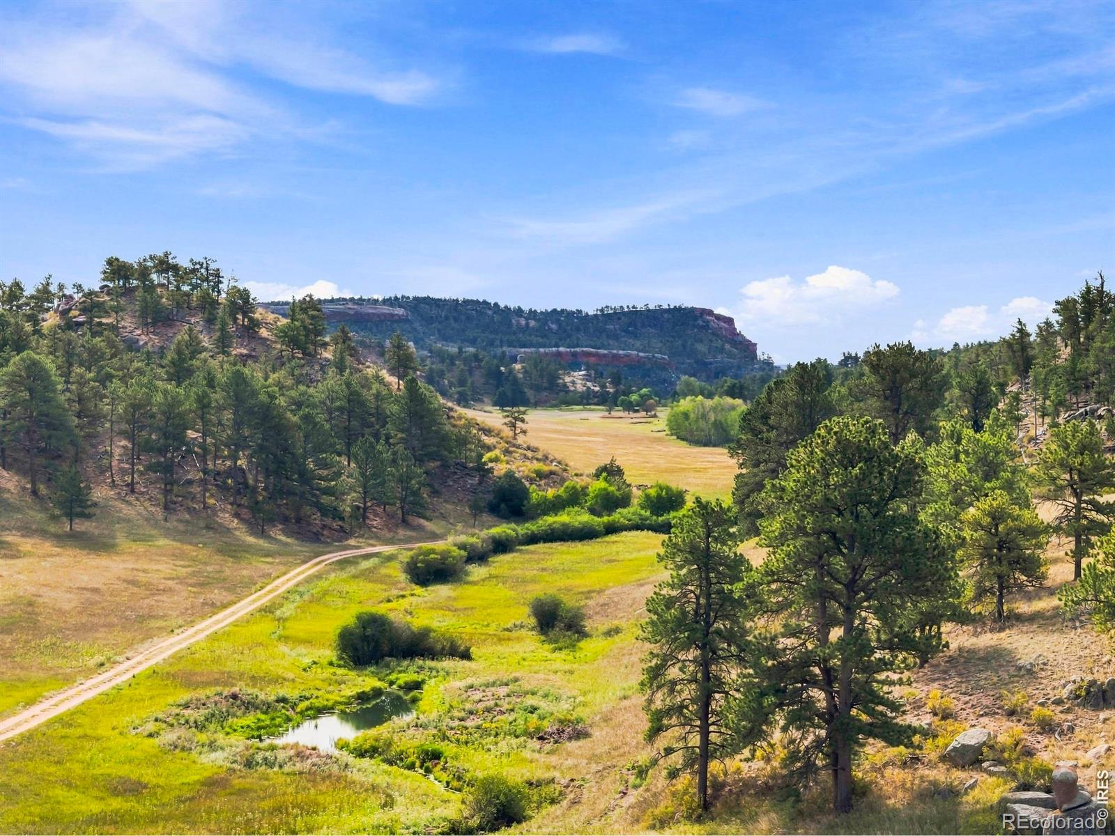 MLS Image #43 for 557  red bluff road,livermore, Colorado