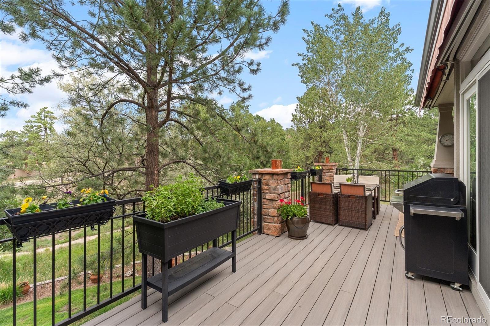 MLS Image #22 for 3252  country club parkway,castle rock, Colorado