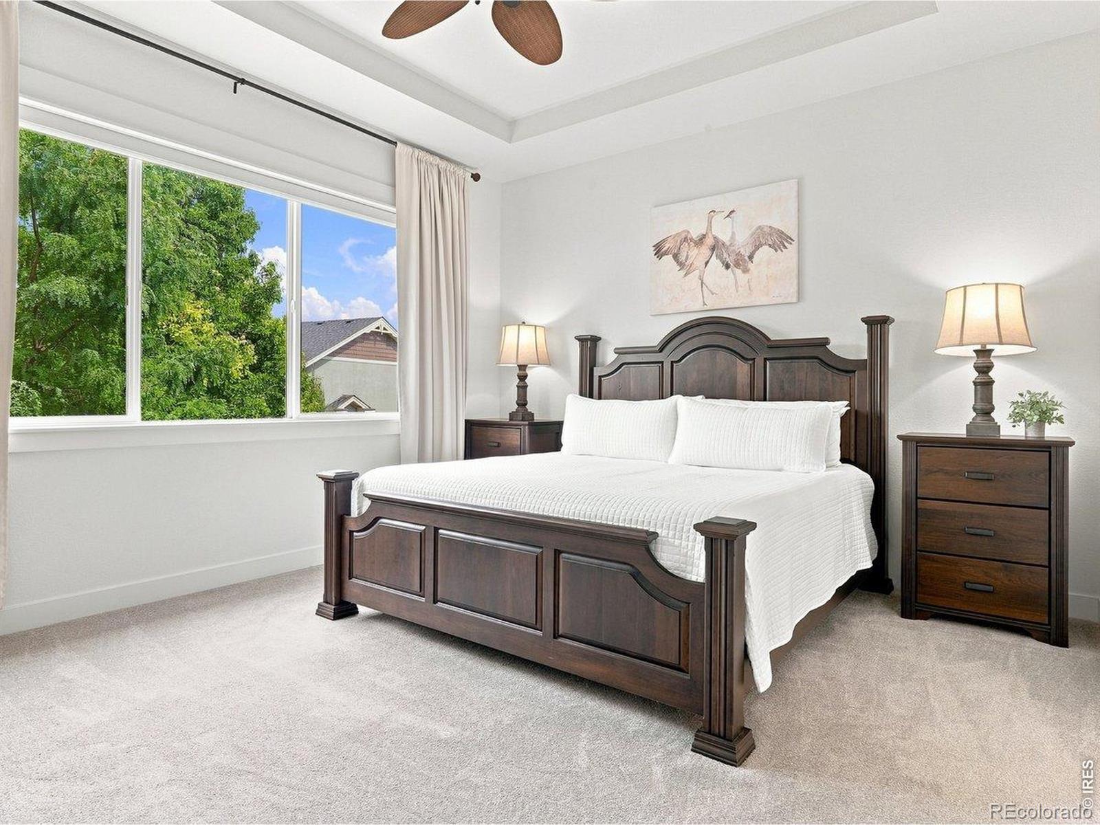 MLS Image #18 for 5510  evangeline drive,windsor, Colorado